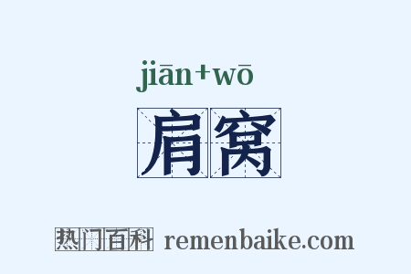 肩窝是什么意思的图片